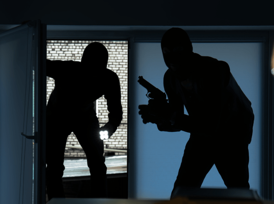 first 30 seconds of a break in burglary theft